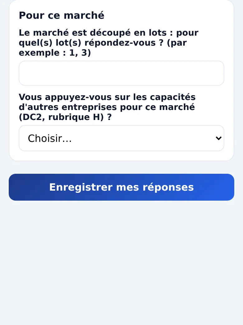 Les questions d’un marché : les lots visés et les capacités d’autres entreprises.
